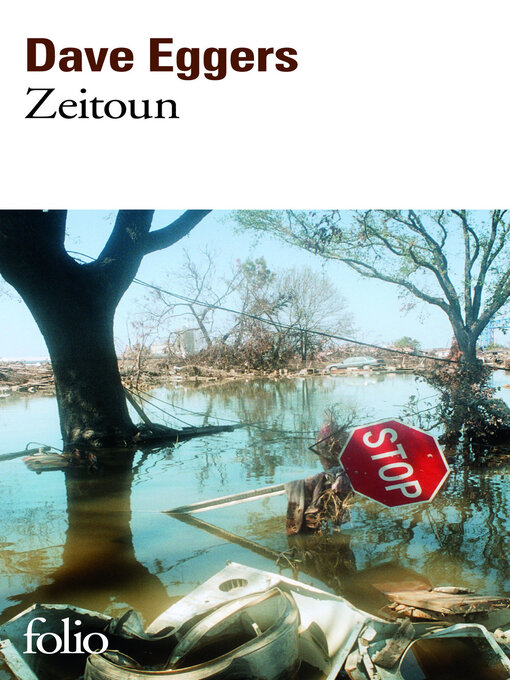 Cover image for Zeitoun